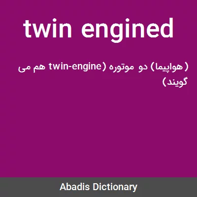 معنی twin engined